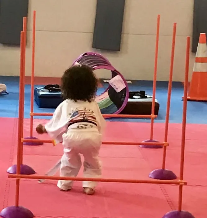 Millsboro Martial Arts Picture 5