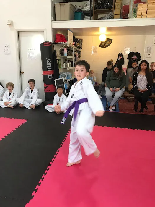 Millsboro Martial Arts Picture 3