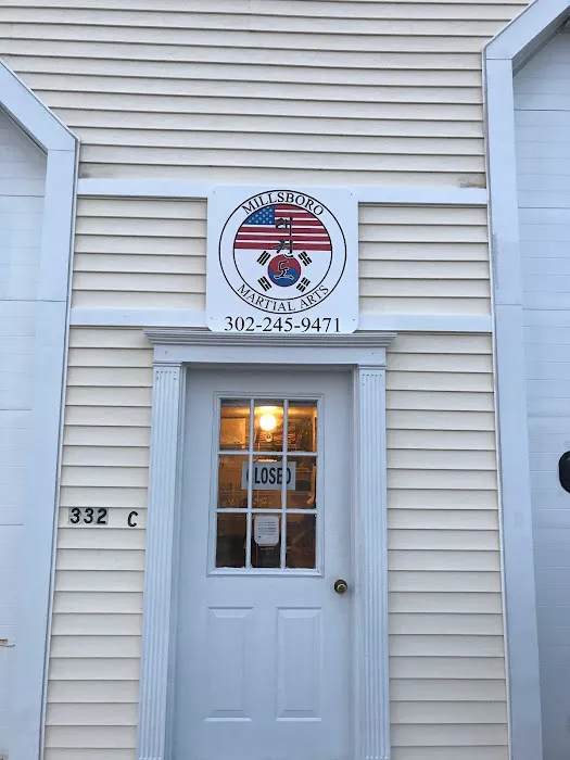 Millsboro Martial Arts Picture 8