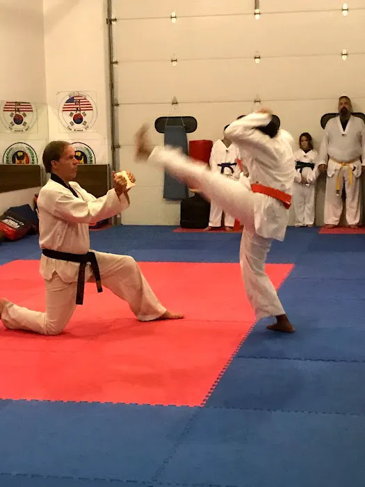 Millsboro Martial Arts Picture 7