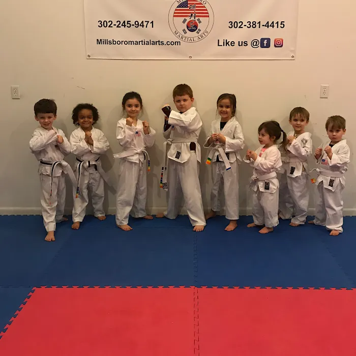 Millsboro Martial Arts Picture 10