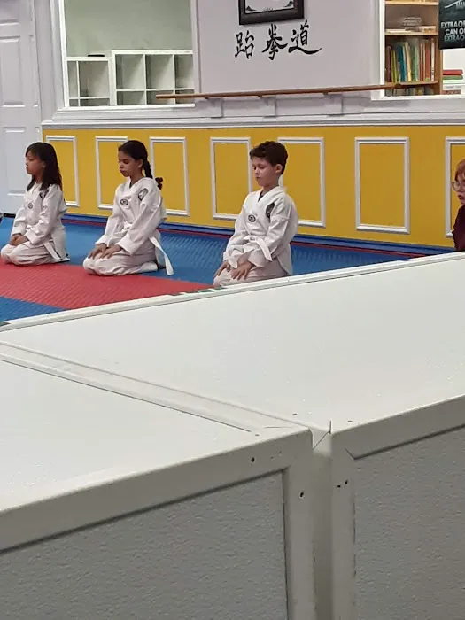 Everest World Class TaeKwondo & Family Martial Arts Academy Picture 2