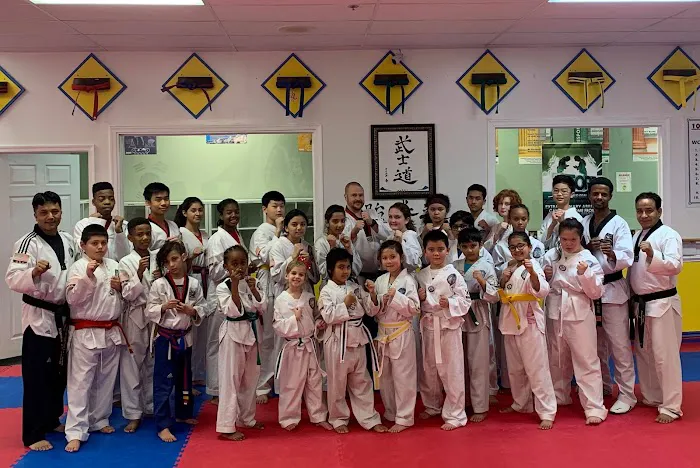 Everest World Class TaeKwondo & Family Martial Arts Academy Picture 4