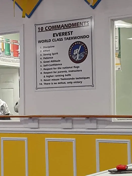 Everest World Class TaeKwondo & Family Martial Arts Academy Picture 3