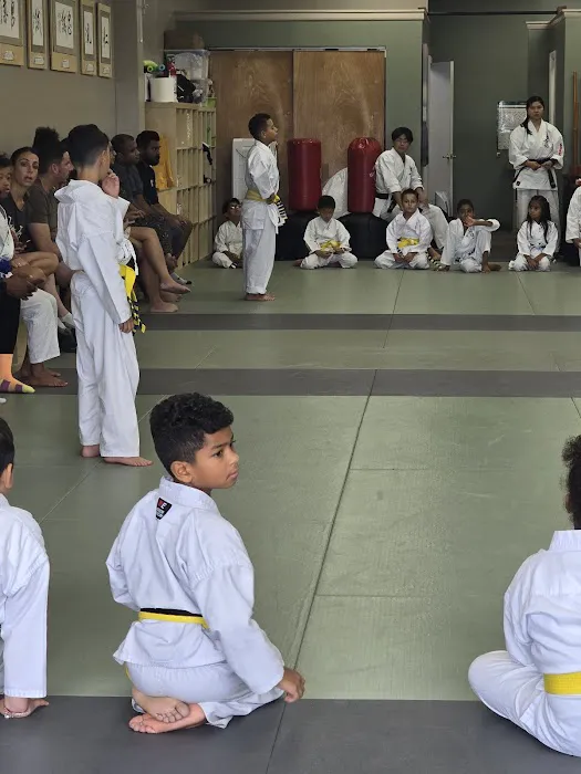 Everest World Class TaeKwondo & Family Martial Arts Academy Picture 1