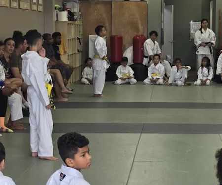 Everest World Class TaeKwondo & Family Martial Arts Academy