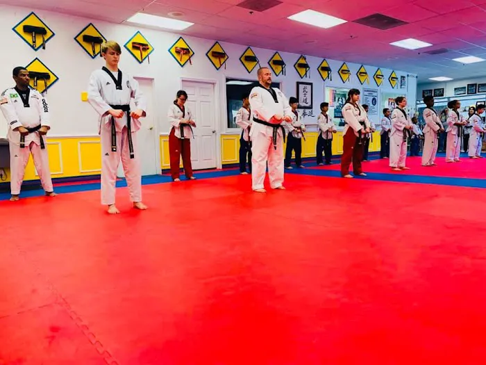 Everest World Class TaeKwondo & Family Martial Arts Academy Picture 5