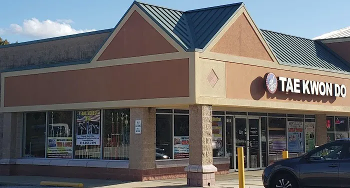 Everest World Class TaeKwondo & Family Martial Arts Academy Picture 9