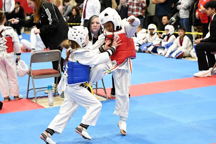 Everest World Class TaeKwondo & Family Martial Arts Academy Picture 8