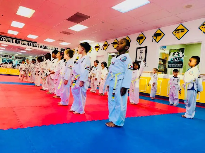 Everest World Class TaeKwondo & Family Martial Arts Academy Picture 10