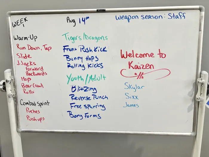 Kaizen Karate Academy Picture 5