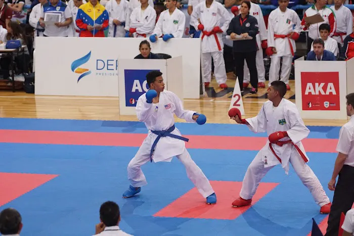 Noh Shi Martial Arts Picture 2