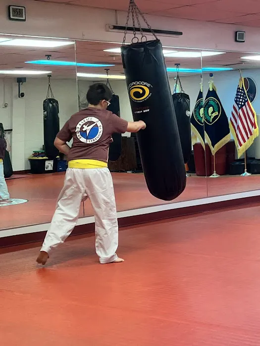 Family Karate of PA Picture 1