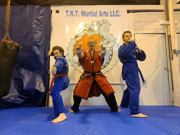 TNT Martial Arts LLC Picture 1