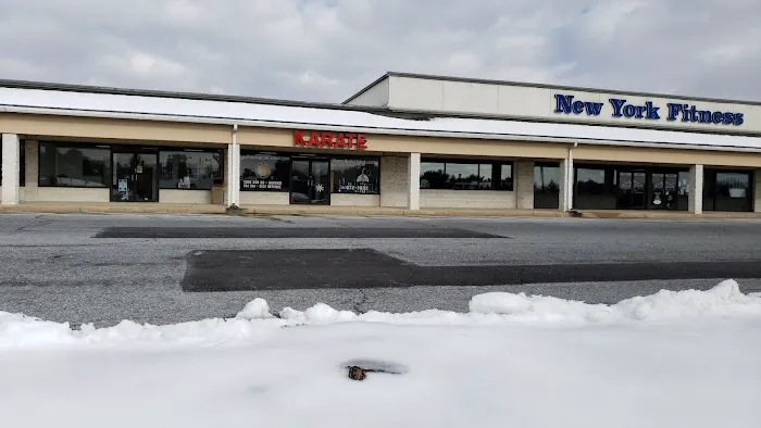 Chosen Martial Arts Academy Picture 2