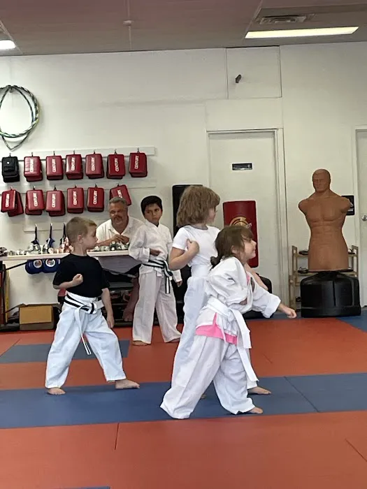 Chosen Martial Arts Academy Picture 5
