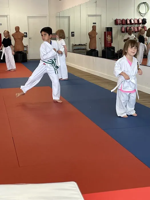 Chosen Martial Arts Academy Picture 4