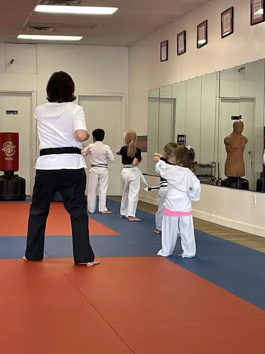 Chosen Martial Arts Academy Picture 9