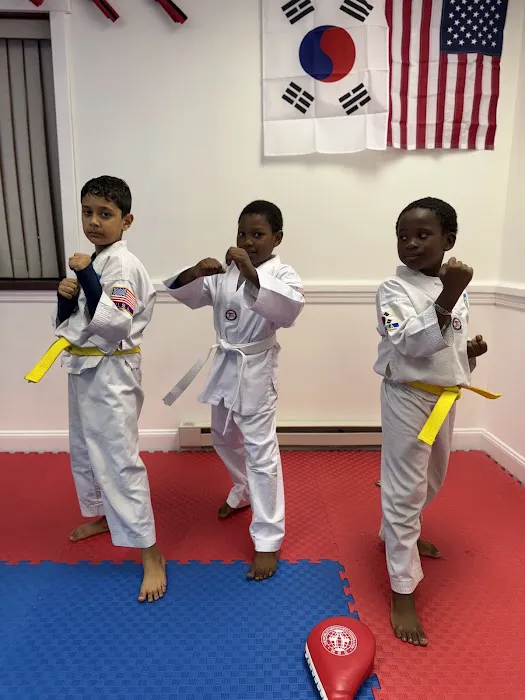 Himalayan Taekwondo Palmyra Picture 5