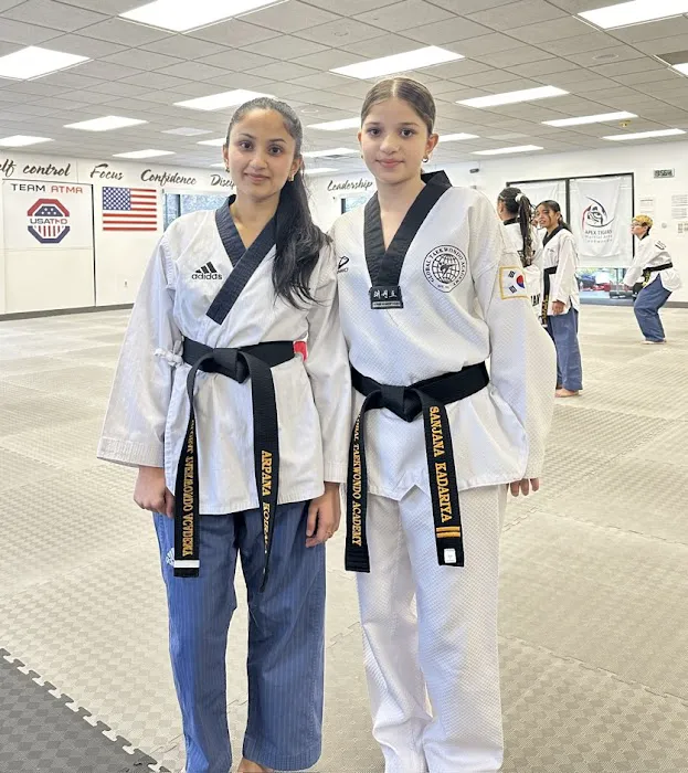 Global Taekwondo Academy Picture 3