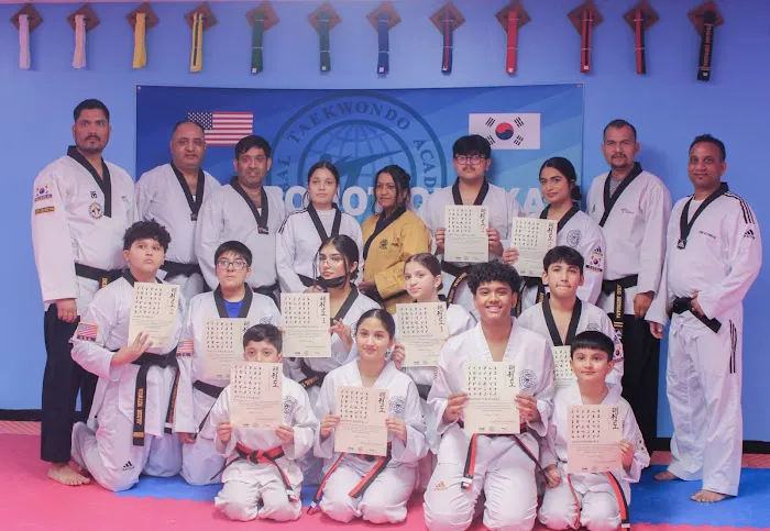 Global Taekwondo Academy Picture 6