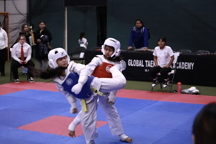 Global Taekwondo Academy Picture 7