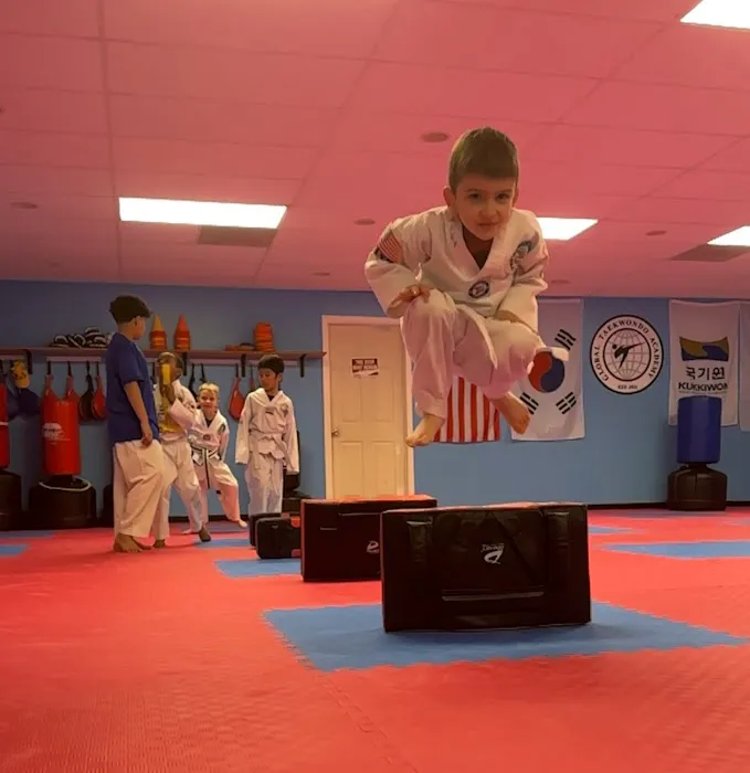 Global Taekwondo Academy Picture 8
