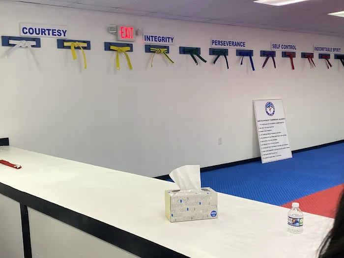 UNITED EVEREST TAEKWONDO ACADEMY Picture 1