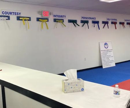 UNITED EVEREST TAEKWONDO ACADEMY