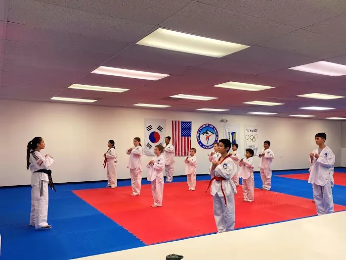 UNITED EVEREST TAEKWONDO ACADEMY Picture 7