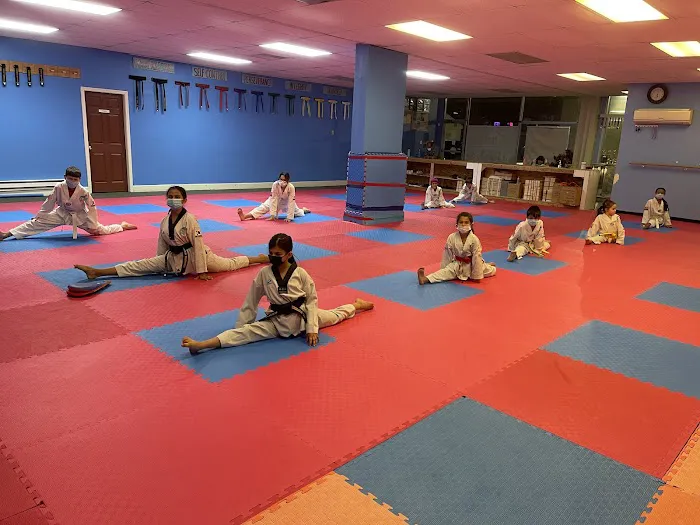 Himalayan Taekwondo Picture 1