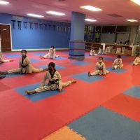 Himalayan Taekwondo ico