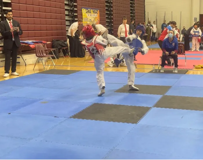 Himalayan Taekwondo Picture 2