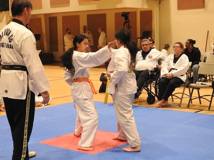 Soaring Eagle Tae Kwon Do Picture 4