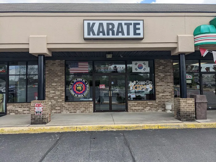 Soaring Eagle Tae Kwon Do Picture 5