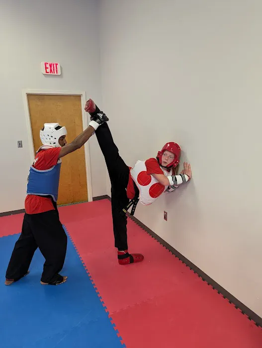 Soaring Eagle Tae Kwon Do Picture 7