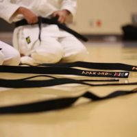 Champions Karate and Krav Maga ico