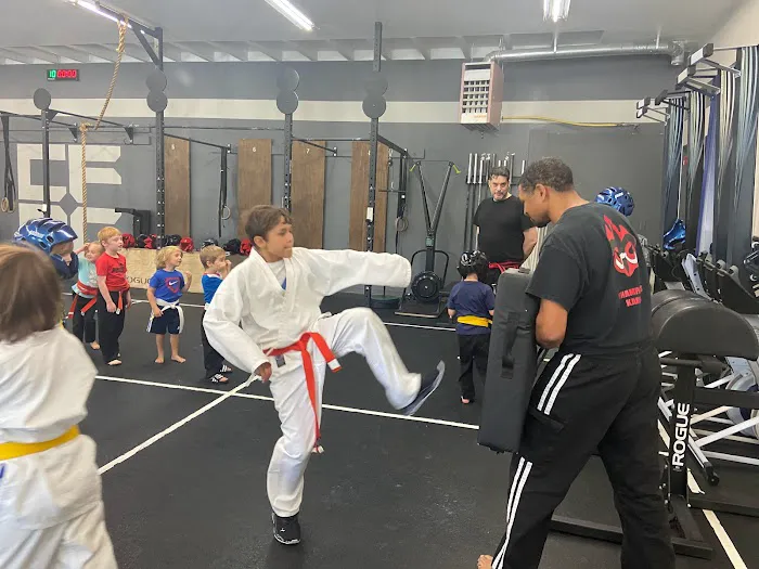 Champions Karate and Krav Maga Picture 3