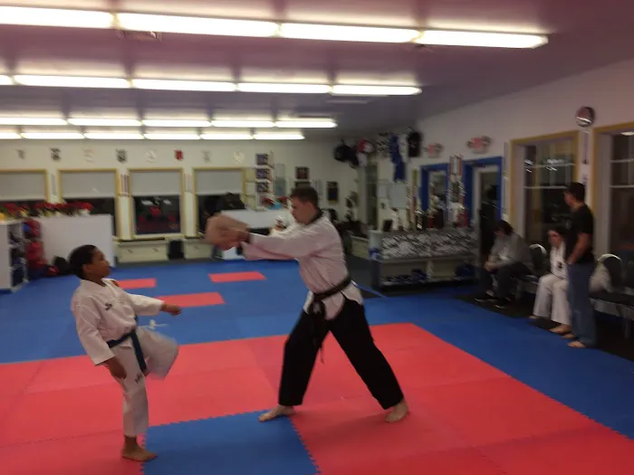 Integrity Taekwondo Picture 2