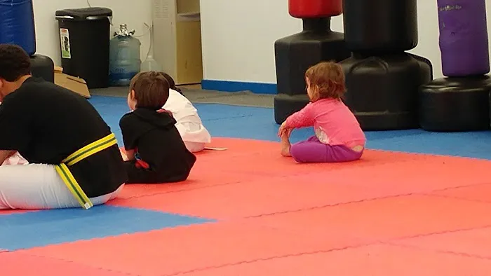 Integrity Taekwondo Picture 1