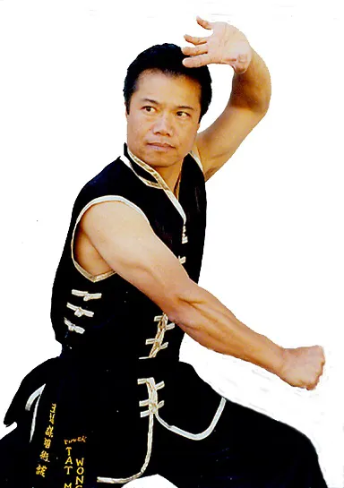 Tat Wong Kung Fu Academy Picture 4