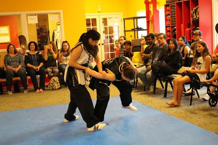 Tat Wong Kung Fu Academy Picture 6