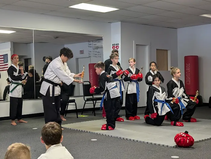 Phoenix Martial Arts Picture 3