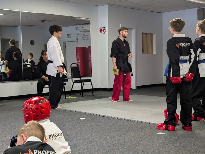 Phoenix Martial Arts Picture 4