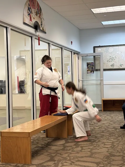 Villari's Martial Arts of Mansfield CT Picture 5