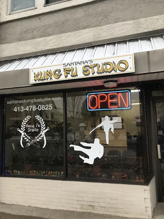 Santana's Kung Fu Studio Picture 6