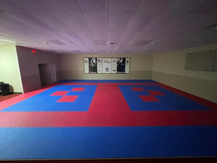 Sunrise Taekwondo & Afterschool Picture 2