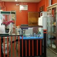 Chinese Kung Fu Wushu Academy ico