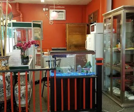 Chinese Kung Fu Wushu Academy