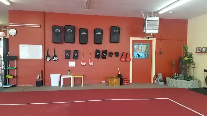 Chinese Kung Fu Wushu Academy Picture 5